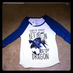 How to train your dragon raglan tee